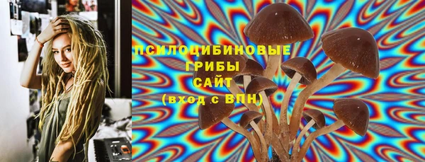 соль ск Лиски