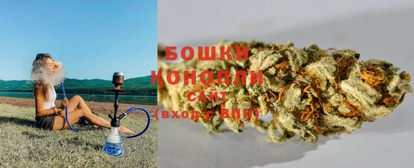 PSILOCYBIN Липки