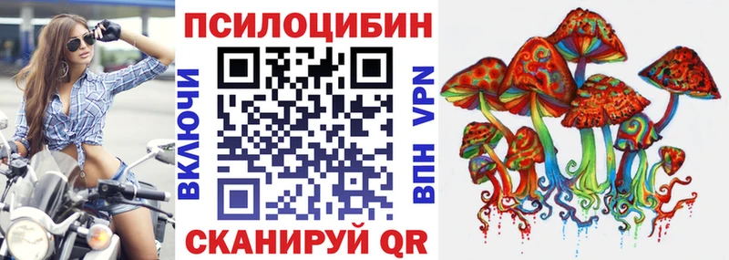 Псилоцибиновые грибы MAGIC MUSHROOMS купить наркоту кракен как войти Черноголовка